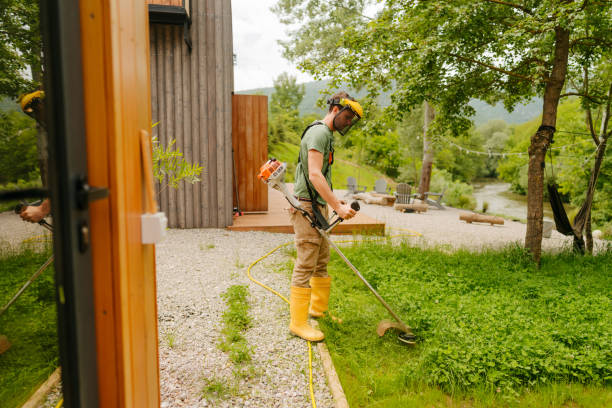 خدمات وب هتلها و نگهداری وبسایت اقامتگاه