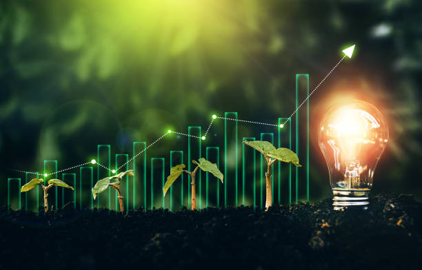 دیجیتال مارکتینگ کشاورزی برای حذف واسطه‌ها و افزایش سود