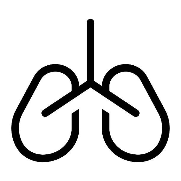 سئو محلی برای کلینیک فیزیوتراپی ریه در اصفهان