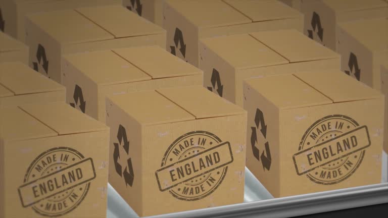 نمونه بستهبندی لوکس و باکیفیت برای نمایش در وبسایت شرکت بستهبندی