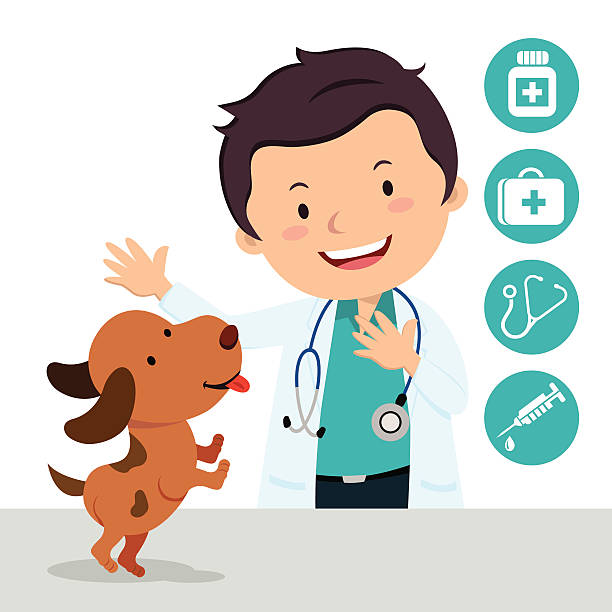 بازاریابی کلینیک دامپزشکی با پینو سایت