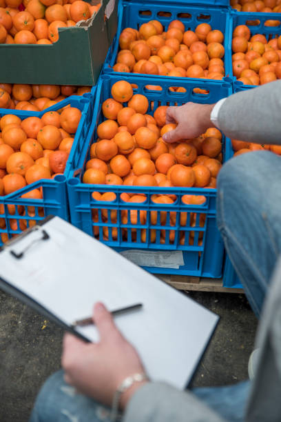 کیفیت در فروش آنلاین مرکبات و برندینگ دیجیتال