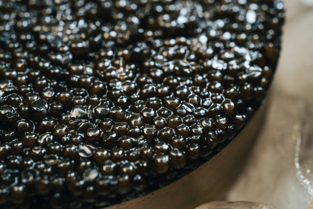 فروش مستقیم خاویار با ضمانت اصالت محصول از طریق وبسایت با پینو سایت