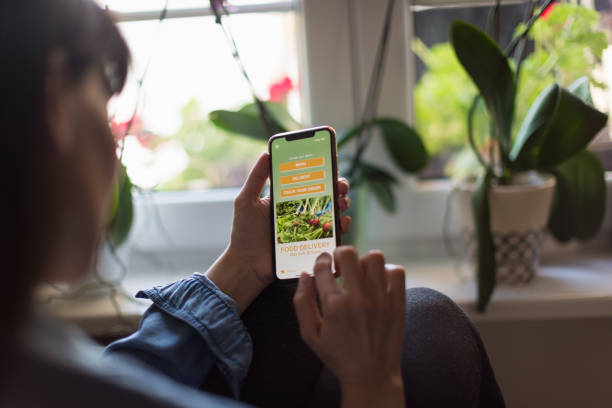 توسعه وب اپلیکیشن PWA برای خدمات باغبانی