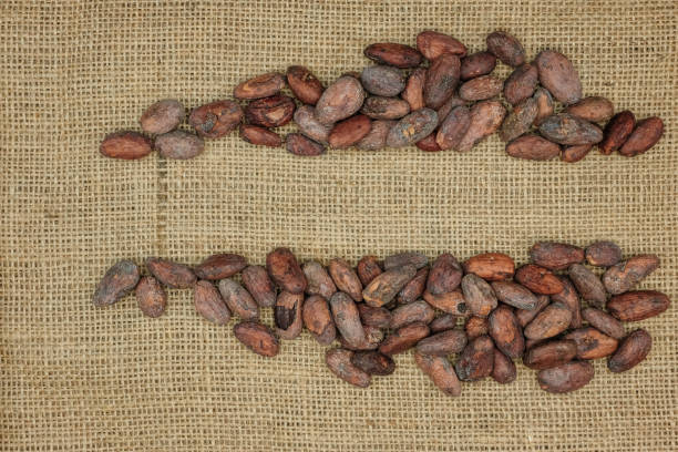 برندینگ و صادرات شیرینی با کیفیت یزد به بازار جهانی