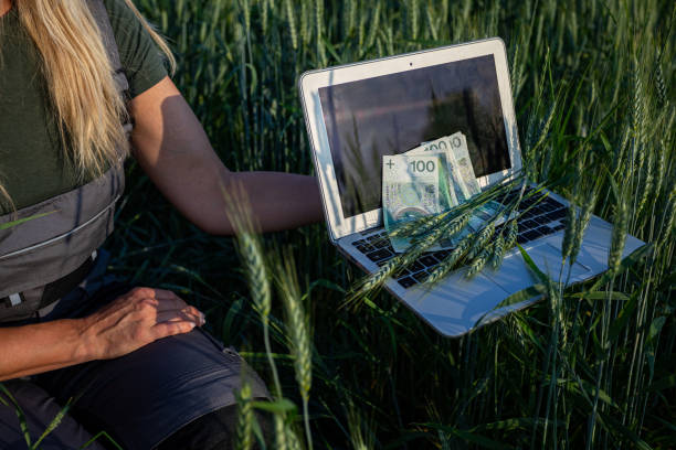 فناوریهای نوین در طراحی سایت کشاورزی برای افزایش فروش آنلاین