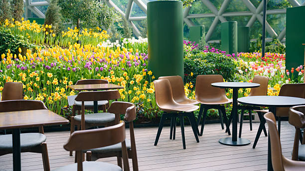 تجربه کاربری مدرن با طراحی وبسایت پینو سایت