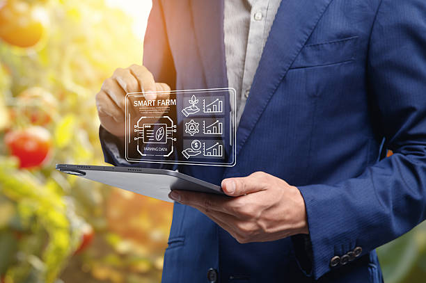 استراتژی دیجیتال مارکتینگ کشاورزی در سال ۲۰۲۵ با ابزارهای نوین