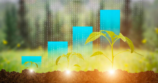 رشد کسب و کار کشاورزی با دیجیتال مارکتینگ