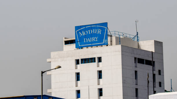 برندسازی محصولات لبنی سنتی در خرمآباد