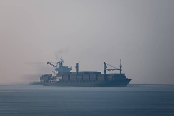 صادرات و نمایش جهانی محصولات کفش چرم با استفاده از بازاریابی دیجیتال