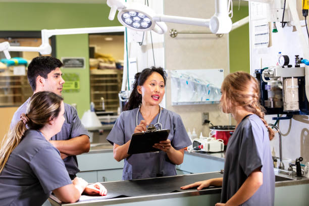 تیم دامپزشکی در حال استفاده از نرم افزار مدیریت کلینیک