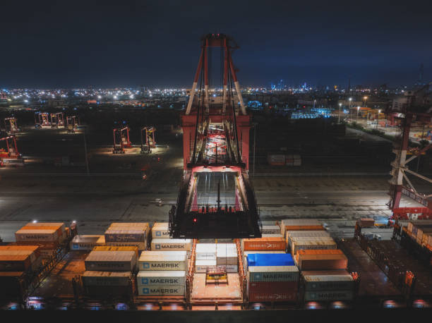 صادرات خشکبار و برندینگ دیجیتال در بازارهای جهانی