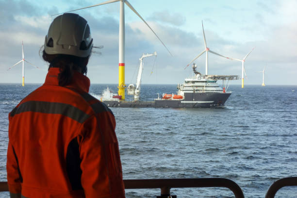 مراحل توسعه و برنامه نویسی پلتفرم آموزشی آنلاین فنی حرفه ای در ساوه