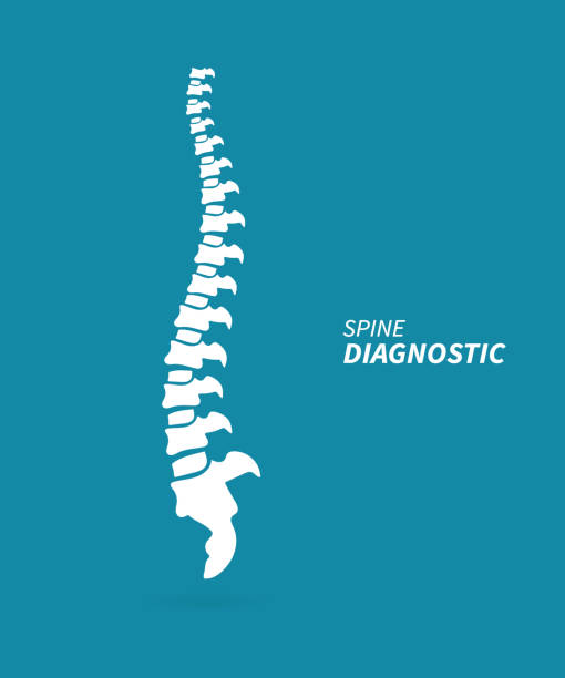 خدمات تخصصی در وبسایت کلینیک ارتوپدی و معرفی درمان‌ها