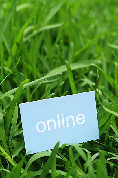 برندینگ ترمه برای فروش آنلاین و صادرات