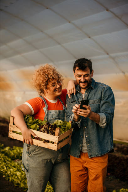 سفارش آنلاین در پلتفرم فروش عمده بذر و نهال