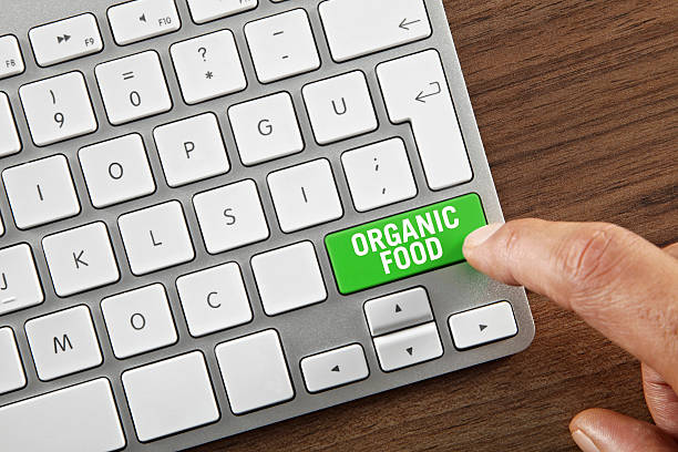 بازاریابی محتوای محصولات ارگانیک