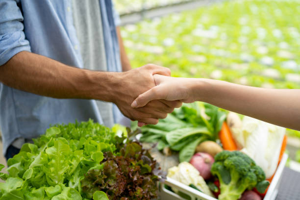 فروش مستقیم از مزرعه با طراحی سایت D2C کشاورزی و یکپارچگی بلاکچین در ساری