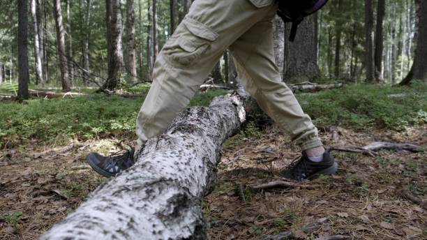 موفقیت اقامتگاه بوم گردی در اردبیل با پشتیبانی فنی سایت