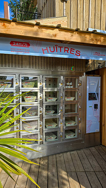 فروش B2B آبزیان با سیستم فروش مستقیم ماهی