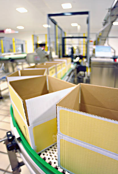 صنایع بستهبندی و اهمیت تولید محتوای تخصصی برای جذب شرکای تجاری