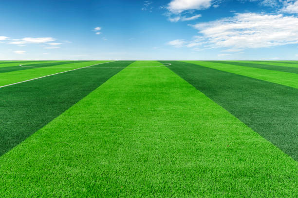 ساخت پورتال آموزشی برای مدارس فوتبال در فردیس کرج