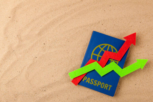 قیمت طراحی وبسایت گردشگری با قابلیت UGC و سئو حرفهای در چالوس