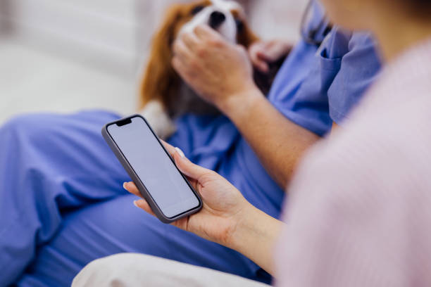 مشاوره آنلاین دامپزشکی از طریق پورتال پینو سایت برای کلینیکهای کرمانشاه