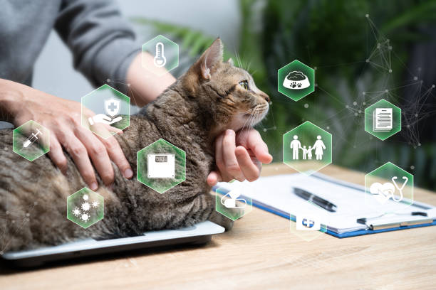 مدیریت هوشمند سلامت حیوانات خانگی در شیراز با طراحی CRM توسط پینو سایت