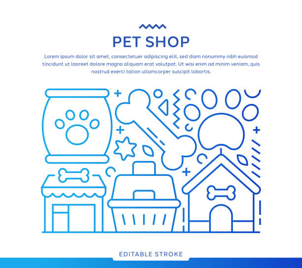 استراتژی دیجیتال مارکتینگ دامپزشکی با CRM و وبسایت فروشگاهی پینو سایت