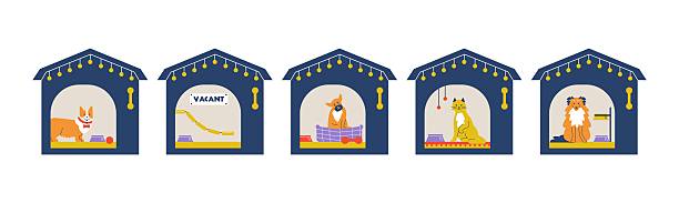 جامعه آنلاین دامداران و خدمات مشاوره دامپزشکی پینو سایت