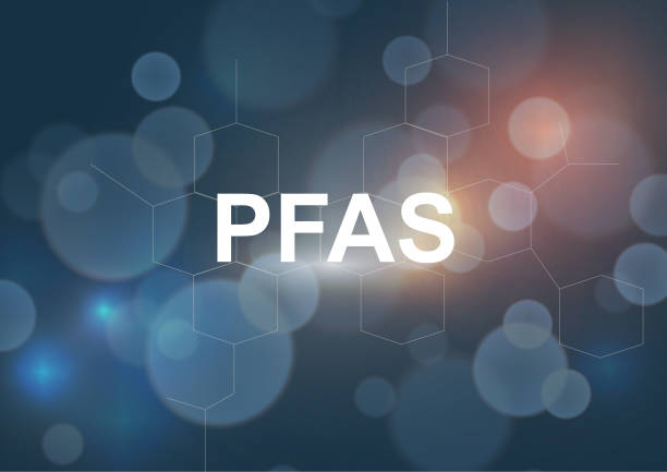 سئو صنعتی B2B برای کارخانهها