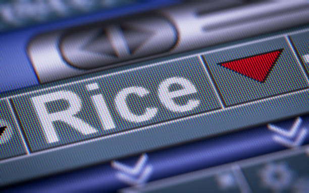 قیمت طراحی وبسایت فروشگاهی برنج