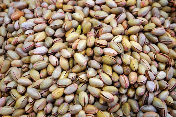 صادرات پسته به چین با برندینگ دیجیتال و طراحی سایت حرفه‌ای