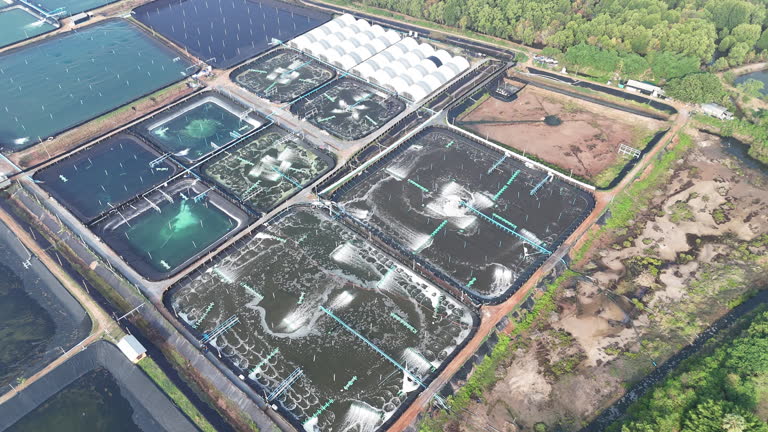 بازاریابی آبزیپروری با طراحی وبسایت حرفهای