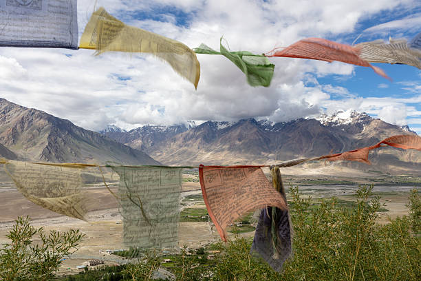 جذب مشتری بین المللی از پاکستان برای کلینیک های زیبایی زاهدان