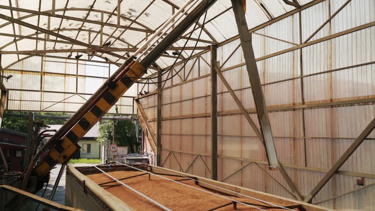 تحلیل بازار و رقبا برای فروشگاه بذر و نهال عمده