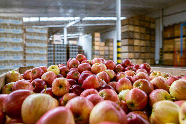 انبارداری و فروش عمده مواد غذایی در قزوین