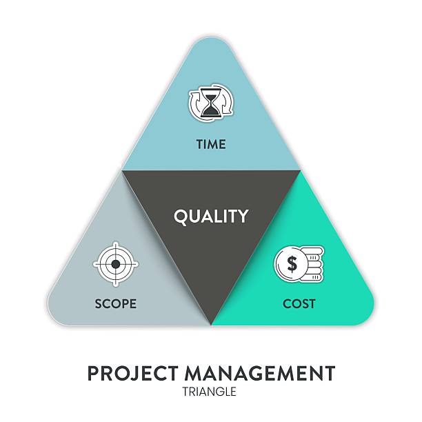 استراتژی دیجیتال و مدیریت تجربه مشتری در پینو سایت