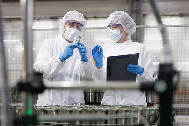 تضمین اصالت ماهی با طراحی سایت D2C حرفهای