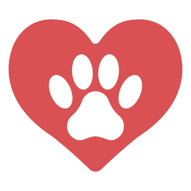 وفادارسازی مشتریان دامپزشکی با ایجاد تجربه مثبت و ماندگار