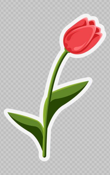 طراحی وبسایت فروشگاهی در تهران - پینو سایت