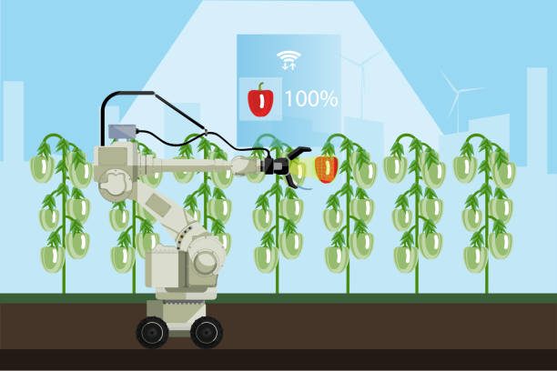 ربات هوشمند در حال برداشت فلفل دلمهای، نماد هوش مصنوعی در بازاریابی کسبوکارهای کشاورزی