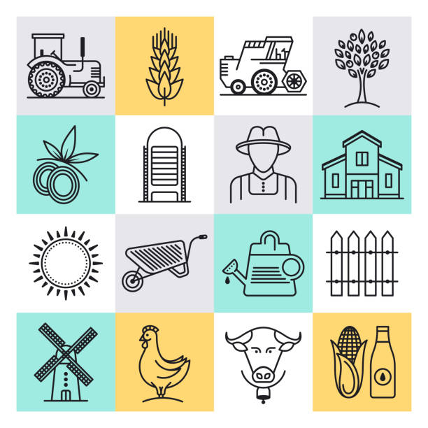 آیکونهای بازاریابی دیجیتال برای طراحی سایت فروشگاهی گلخانه