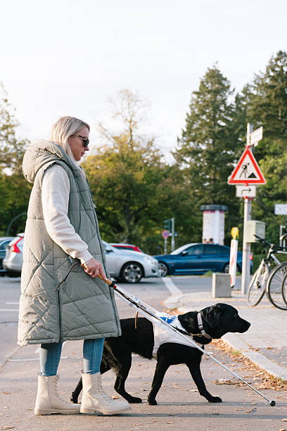 سئو محلی برای کلینیک دامپزشکی در فردیس و جذب مشتری