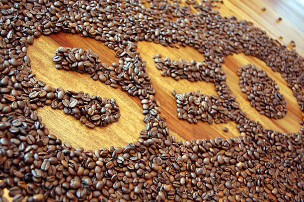 بهینه‌سازی سئو برای کافی‌شاپ