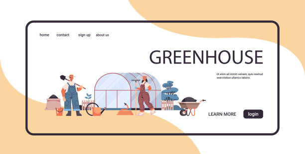 طراحی سایت فروشگاهی برای گلخانه در شهریار و فروش مستقیم گل و گیاه