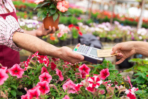 فروش مستقیم گل و گیاه از گلخانه با طراحی وبسایت D2C