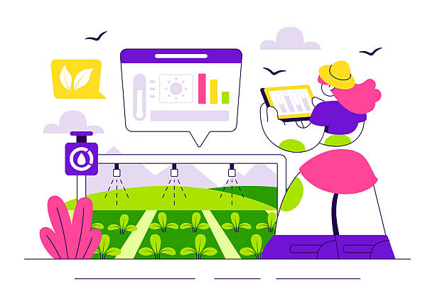 هوشمندسازی فروش گلخانه با طراحی سایت و سئو پیشرفته